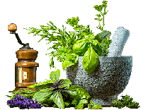 Headache recovery in pune